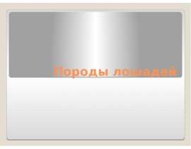 Породы лошадей