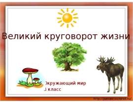 Великий круговорот жизни презентация 3 класс. Великий круговорот жизни из пластилина. Великий круговорот жизни 3 класс окружающий мир модель из пластилина. Круговорот жизни в природе 3 класс окружающий мир из пластилина. Круговорот жизни в природе проект 3 класс макет.