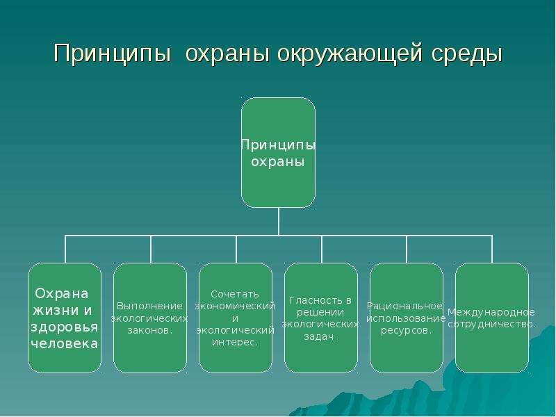 Три принципа охраны природы. Принципы охраны окружающей среды. Принципы защиты окружающей среды. Основные принципы охраны окружающей среды. Принципы охраны окружающей природной среды.