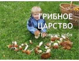Грибное царство