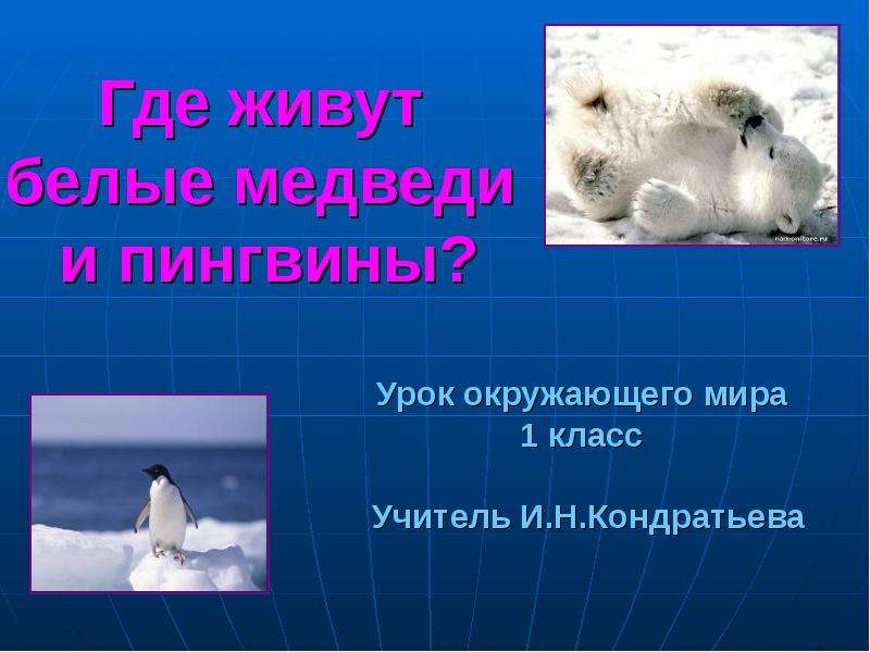 Где живут белые медведи презентация 1 класс школа россии презентация