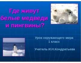 Где живут белые медведи и пингвины