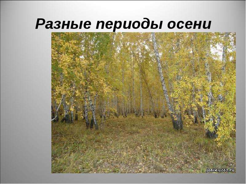 Периоды осени. Разные периоды осени. Три периода осени. Осень периоды осени. Разные периоды осенью.