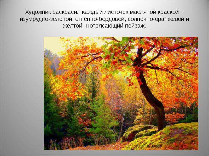 Периоды осени. Разные периоды осени. Осень периоды осени. Осень 5 класс. Разные периоды осенью.