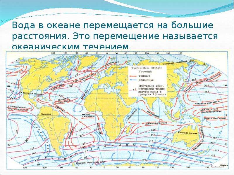 Карта течений мирового океана