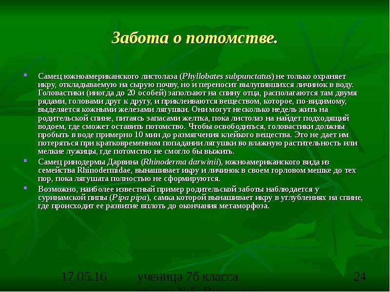 20 особей. Забота о потомстве. Забота о потомстве самцом. Забота о потомстве презентация по биологии 9 класс. Забота о потомстве заключение.