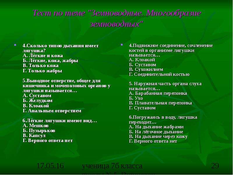 Вопросы по теме земноводные. Сколько типов дыхания имеет лягушка. Тест по теме амфибии. Сколько типов дыхания имеет лягушка 1.лёгкие и кожа. Какой Тип дыхания у лягушки.