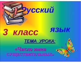 Изменение имён существительных по числам: теория и практика