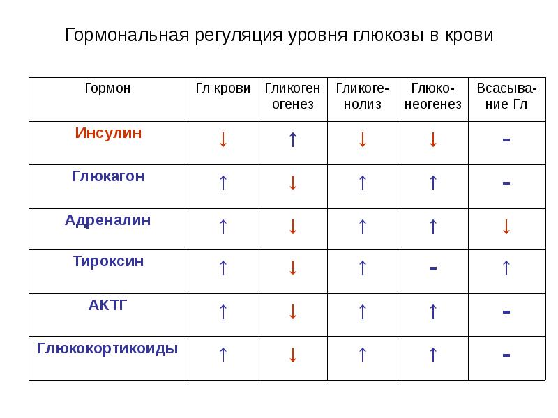 Регуляция уровня глюкозы в крови презентация