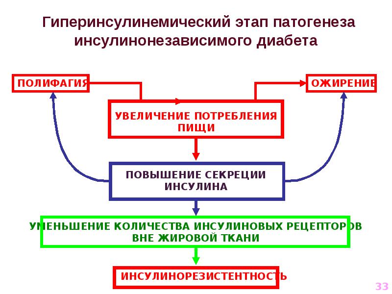 У птиц высокий обмен веществ. Сбор для обмена веществ. Образование и расход энергии в процессе метаболизма. Никотин и ускорение обмена веществ.