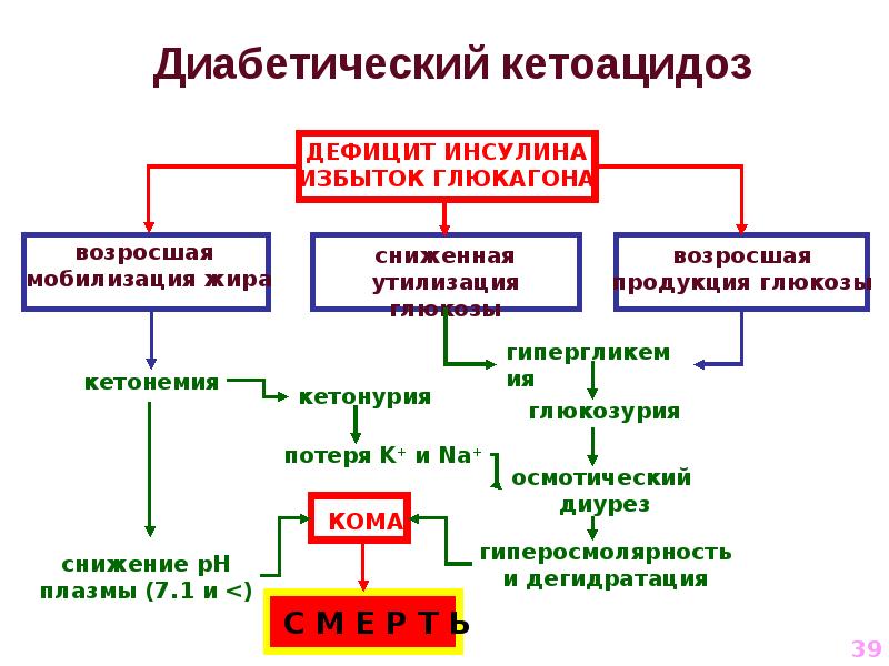 У птиц высокий обмен веществ. Алгоритм метаболизма. Обмен веществ как источник образования тепла. Обмен веществ между обществом и природой таблица. Метаболизм это на русском.