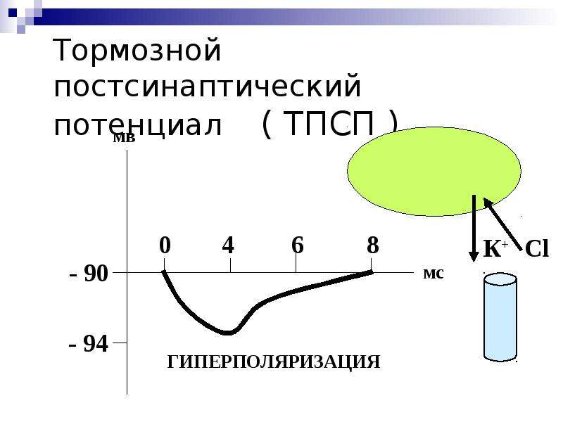 Виды потенциалов. Тормозной постсинаптический потенциал (ТПСП). Тормозной постсинаптический потенциал это физиология. ТПСП физиология. ТПСП гиперполяризация.