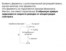 S-образная кривая зависимости скорости реакции от концентрации субстрата