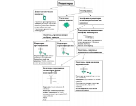 Receptors