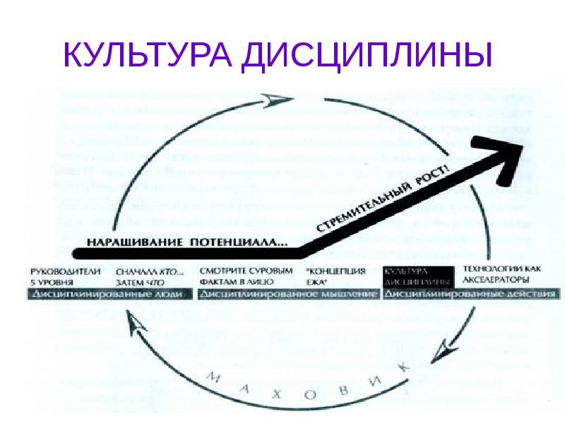 Культура дисциплины