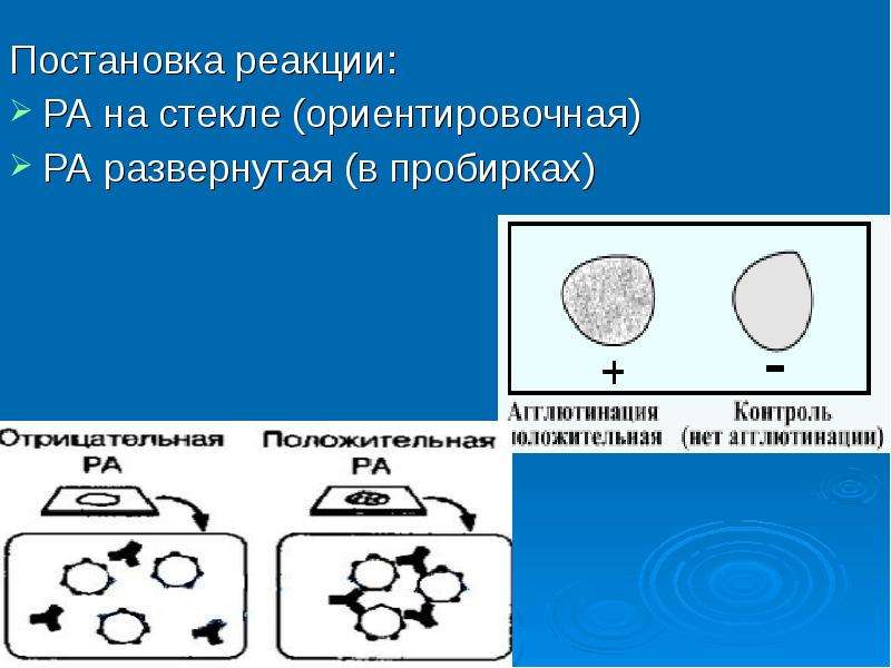 Реакция агглютинации микробиология схема