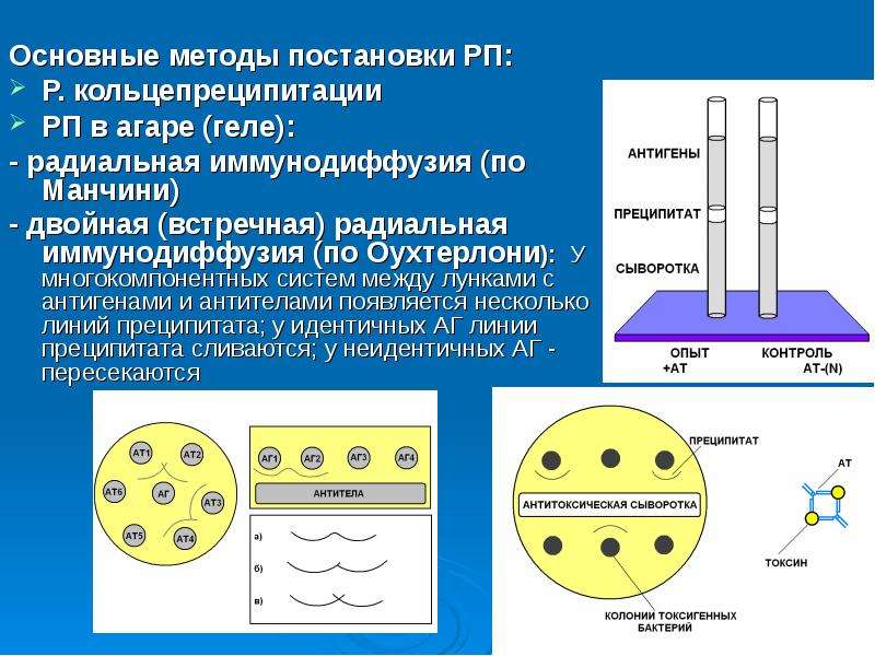 Метод постановки. Метод иммунодиффузии по Манчини. Реакция преципитации в агаре по Оухтерлони. Метод радиальной иммунодиффузии по Манчини использует явление. Реакция двойной иммунодиффузии по Оухтерлони.