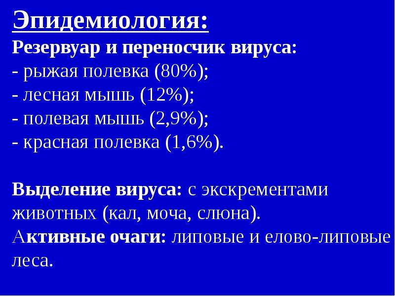 Проект геморрагическая лихорадка