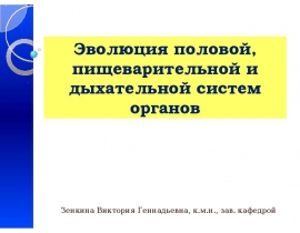 Филогенез половой систем, пищеварительной и дыхательной систем. Пороки развития.