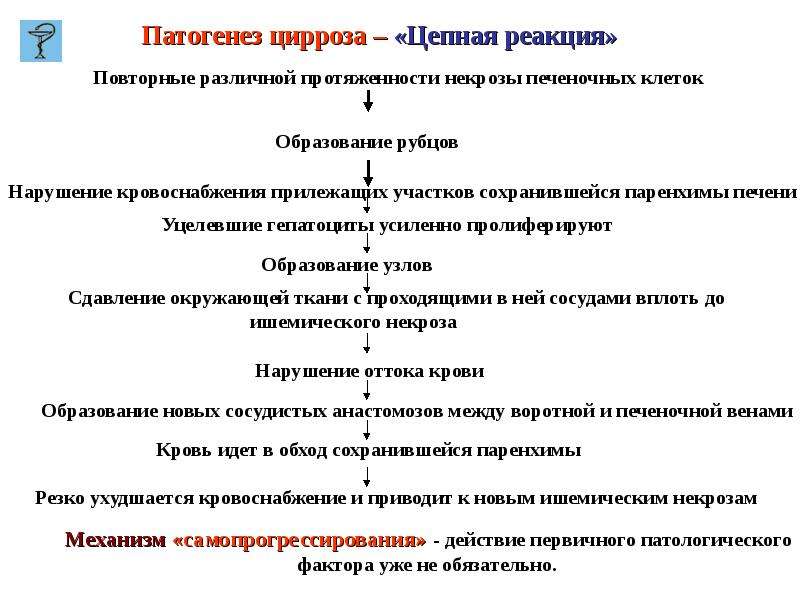 Механизм развития цирроза. Патогенез цирроза печени патанатомия. Вирусный цирроз печени патогенез. Цирроз печени причины патогенез. Цирроз печени патофизиология патогенез кратко.