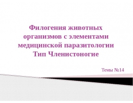 Членистоногие