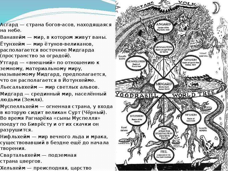 Схема древа иггдрасиль