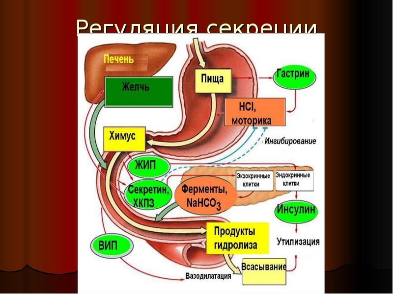 Лечение язвы 12 перстной кишки препараты схема лечения