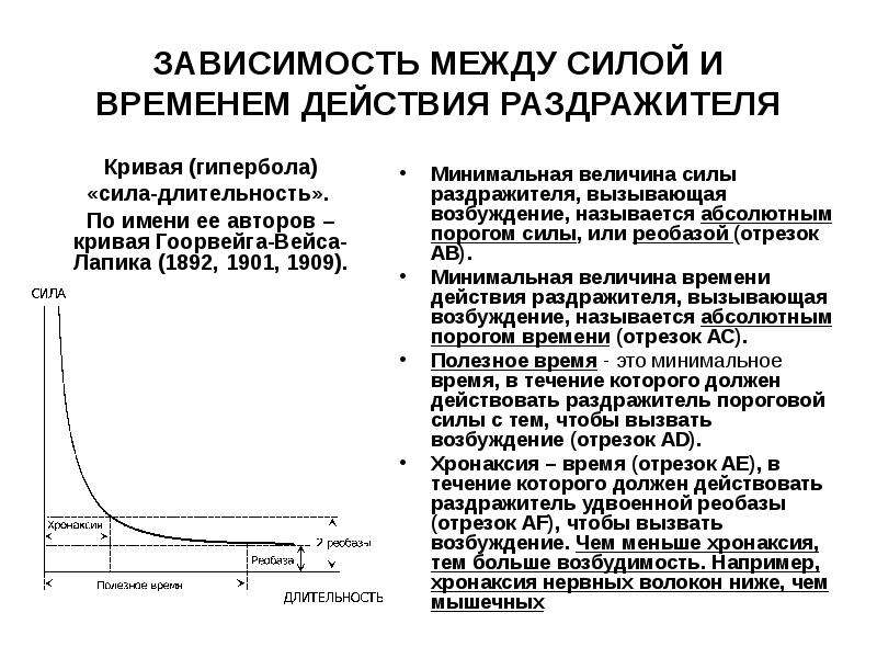 В течение которого времени должны