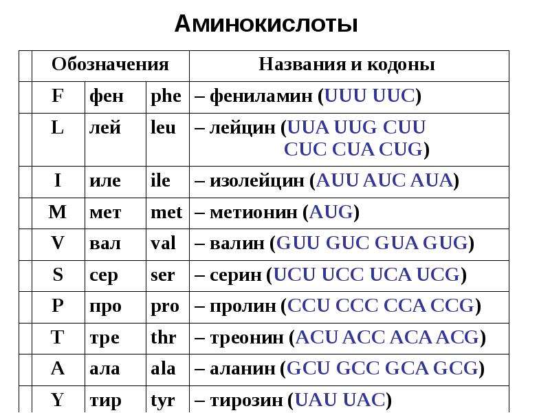 32 аминокислоты. Обозначения аминокислот. Буквенные обозначения аминокислот. Обозначения аминокислот таблица. Однобуквенные обозначения аминокислот.