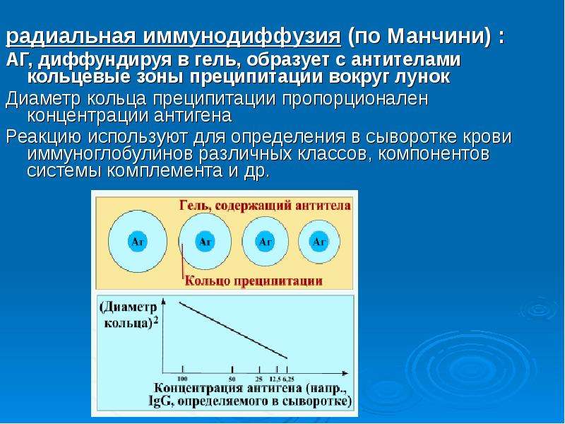 Радиальная иммунодиффузия по манчини презентация - 98 фото