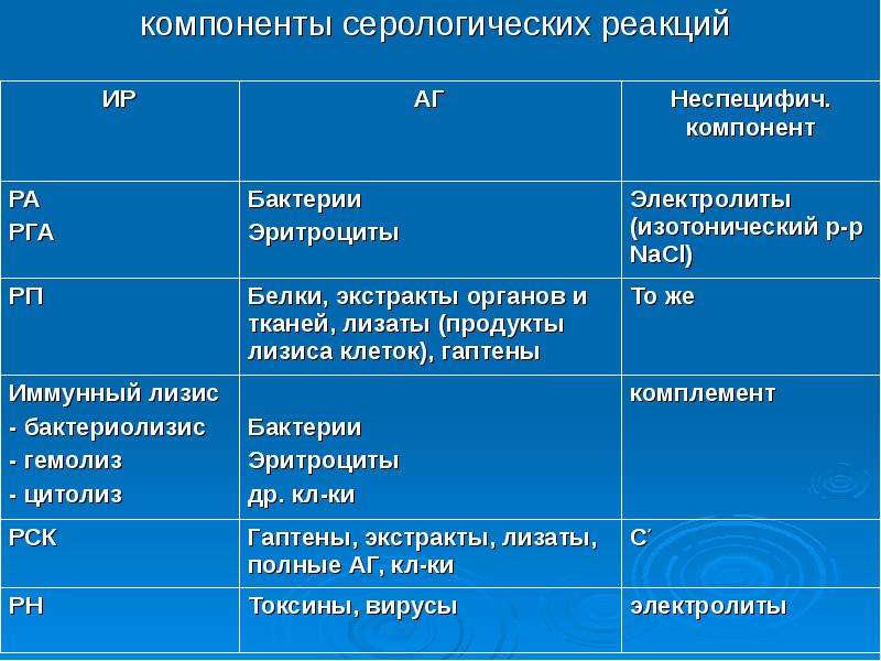 Фазы серологических реакций схема