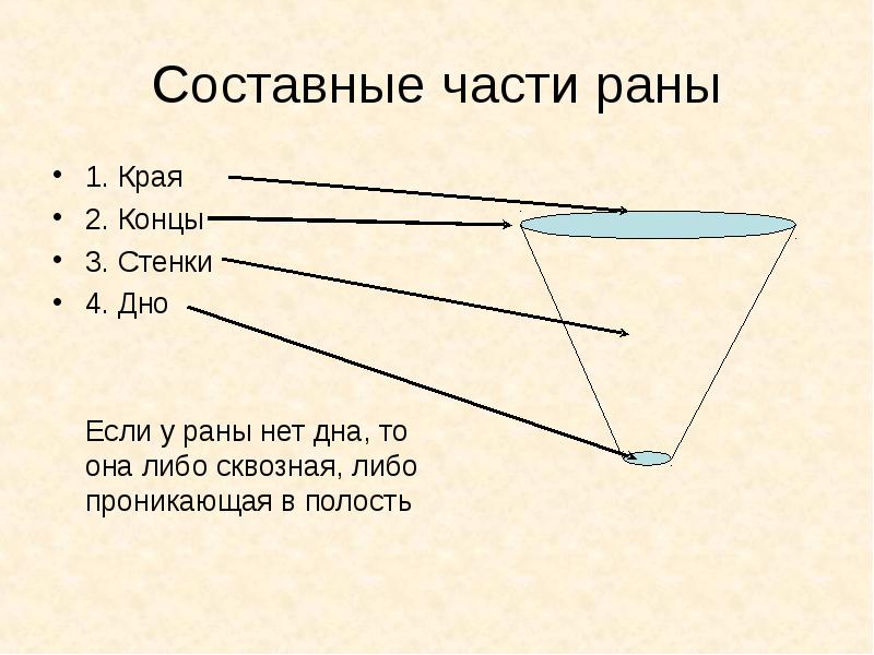 Части раны