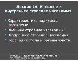 Внешнее и внутреннее строение насекомых