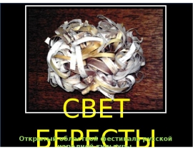 СВЕТ БЕРЕСТЫ