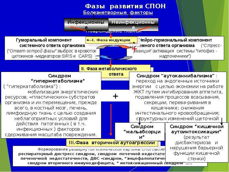 Полиорганная недостаточность презентация