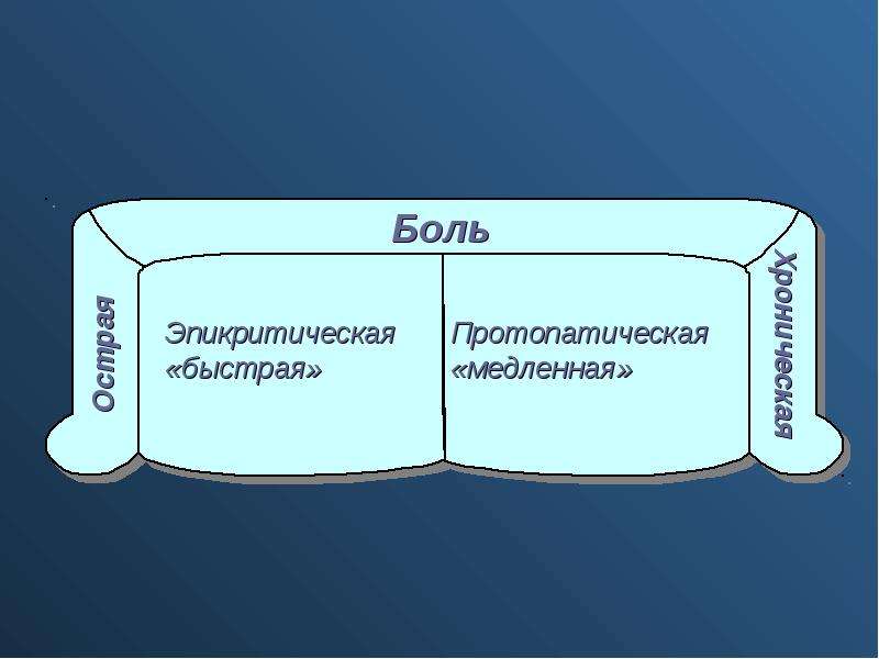 Схема структурной организации восприятия первичной локализованной боли