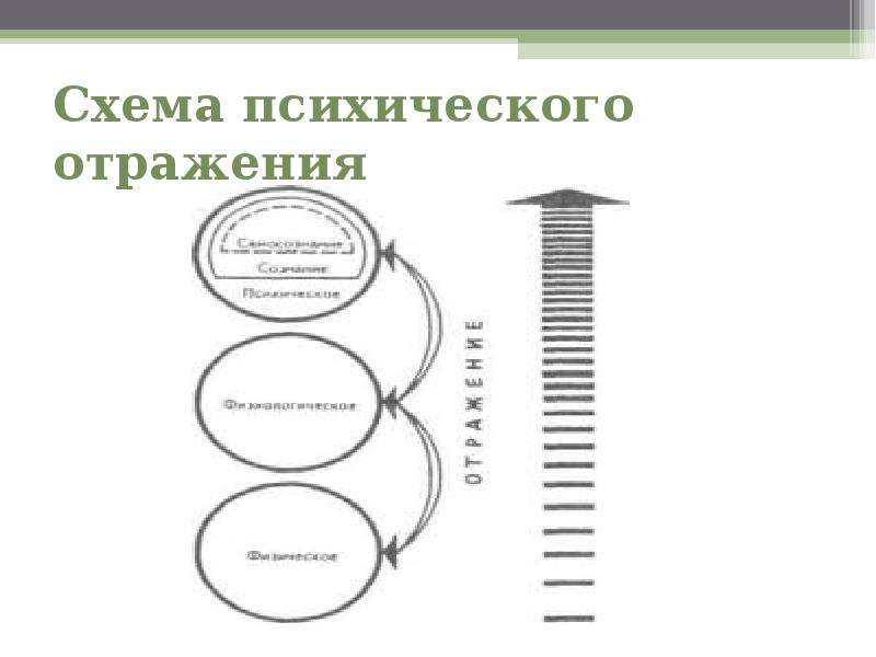 Психическое отражение