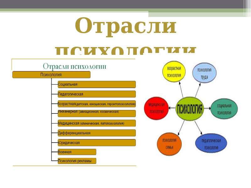 Общая психология в схемах и комментариях