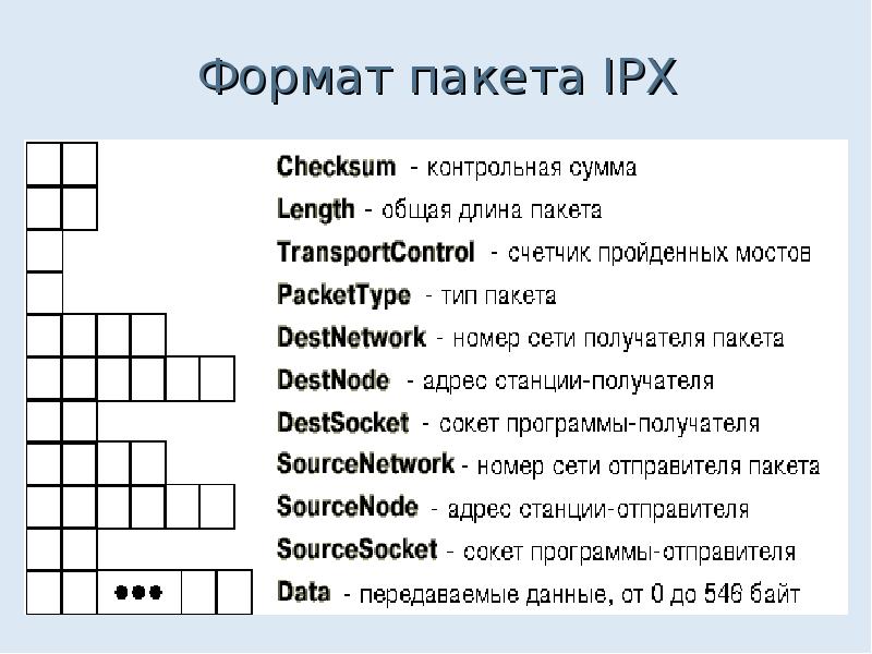 Формат сетей. Кроссворд сети протокол локальная провайдер.