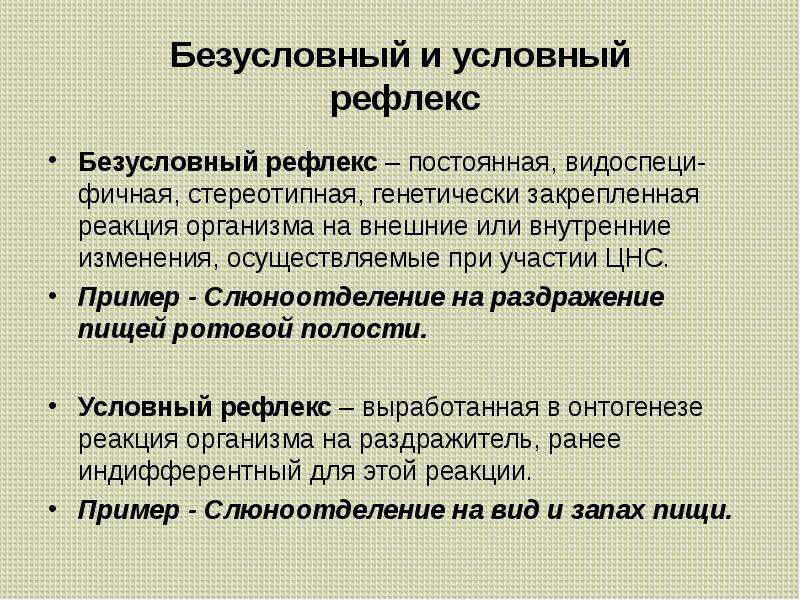 Особенности высшей нервной деятельности презентация 8 класс