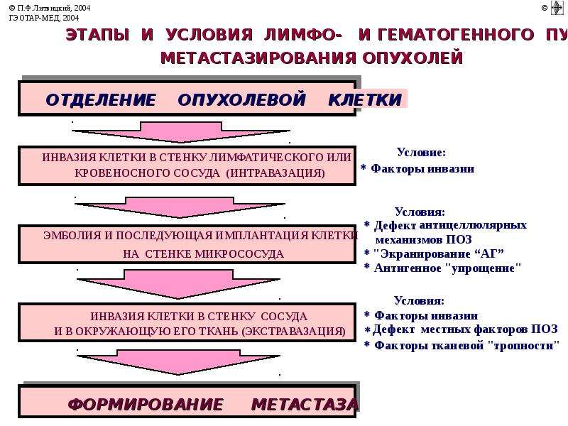 Схема патогенеза раковой кахексии патофизиология