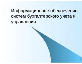 Информационное обеспечение систем бухгалтерского учета