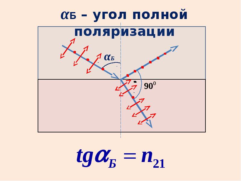 Проекционная картина поляризованного света