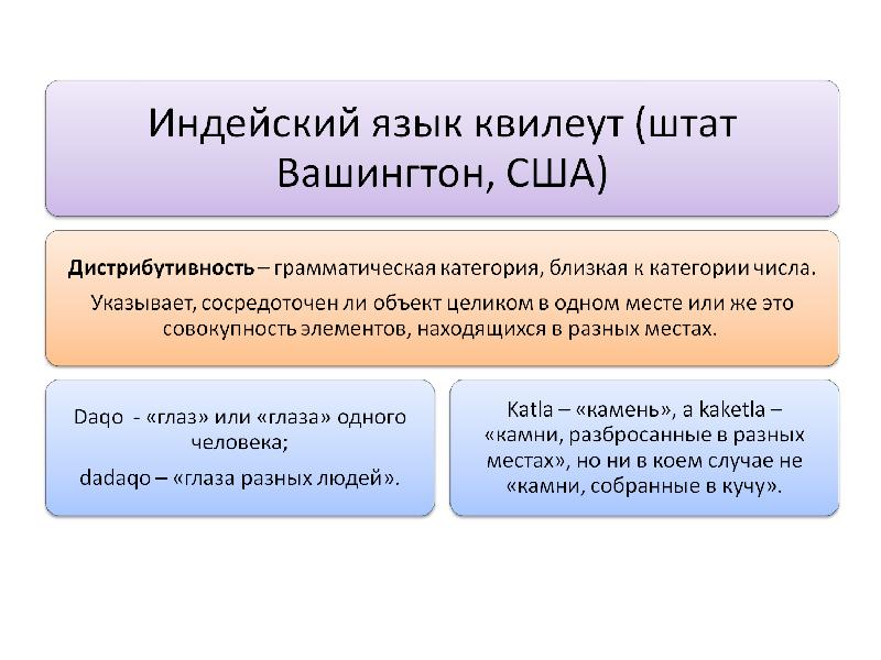 Грамматика сообщение. Америндские языки. Категория числа в языках мира. Категория лица в языках мира.