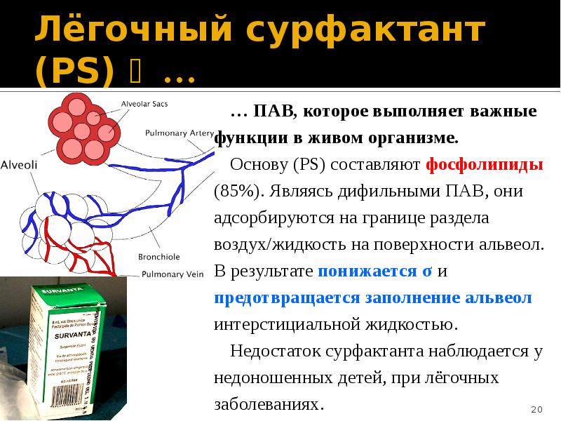 Слипанию стенок альвеол препятствует