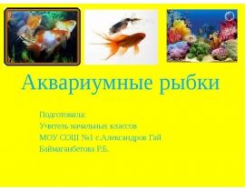 Аквариумные рыбки