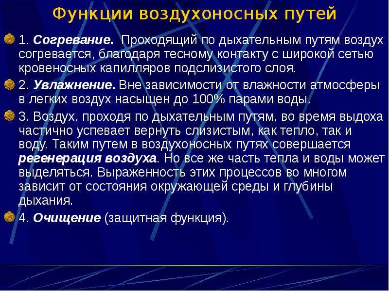 Согревание воздуха в дыхательных путях происходит благодаря тому что их стенки