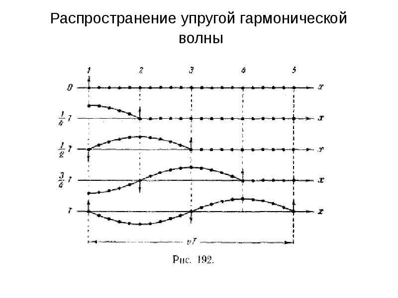 Распределение 8 класса. Нелинейные волны. Синусоидальная волна. Упругая гармоническая волна. Гармонические или синусоидальные волны.