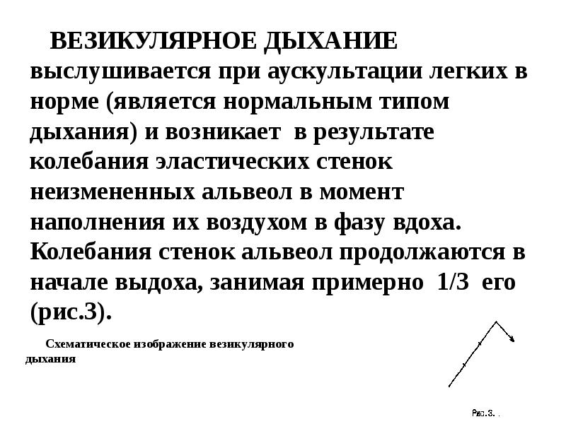 Дыхание при аускультации. Аускультация везикулярное дыхание. Везикулярное дыхание выслушивается. При аускультации дыхание везикулярное. В норме везикулярное дыхание выслушивается:.