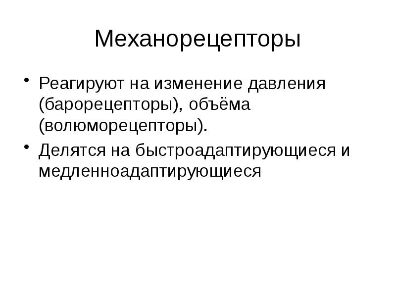 Виды механорецепторов презентация